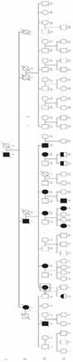 TTTCA Repeat Expansion of SAMD12 in a New Benign Adult Familial Myoclonic Epilepsy Pedigree